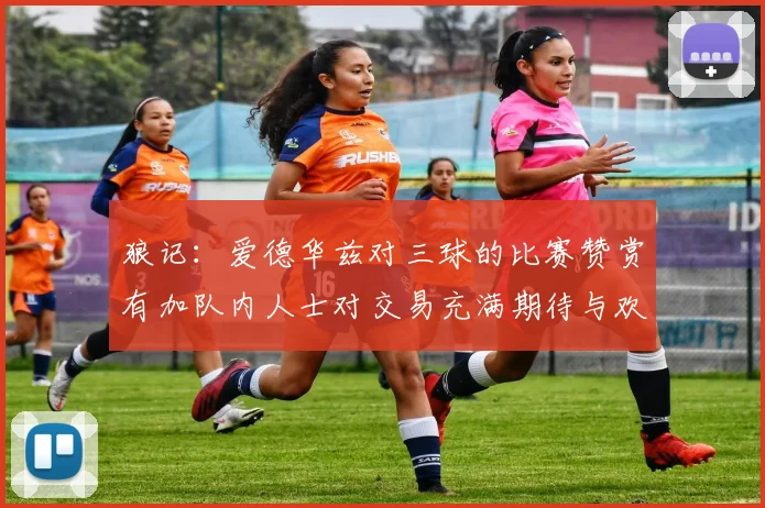 狼记：爱德华兹对三球的比赛赞赏有加队内人士对交易充满期待与欢欣