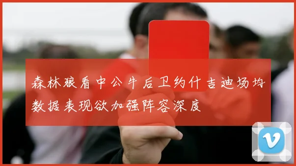 森林狼看中公牛后卫约什吉迪场均数据表现欲加强阵容深度
